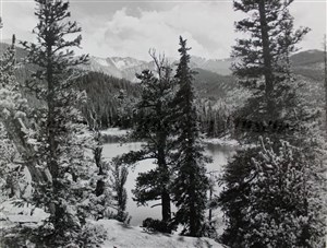 Image description is not available for 2007.016